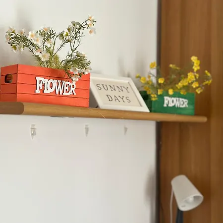 Casa La Coccinella In Cisanello Di Elisa E Fabio